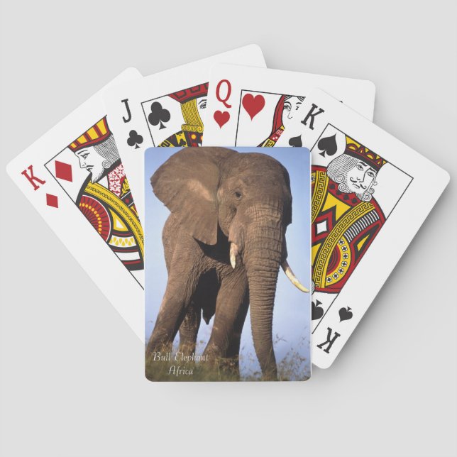 Wildlife Playing Cards (Back)