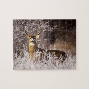 Wildlife Puzzle-Deer Jigsaw Puzzle