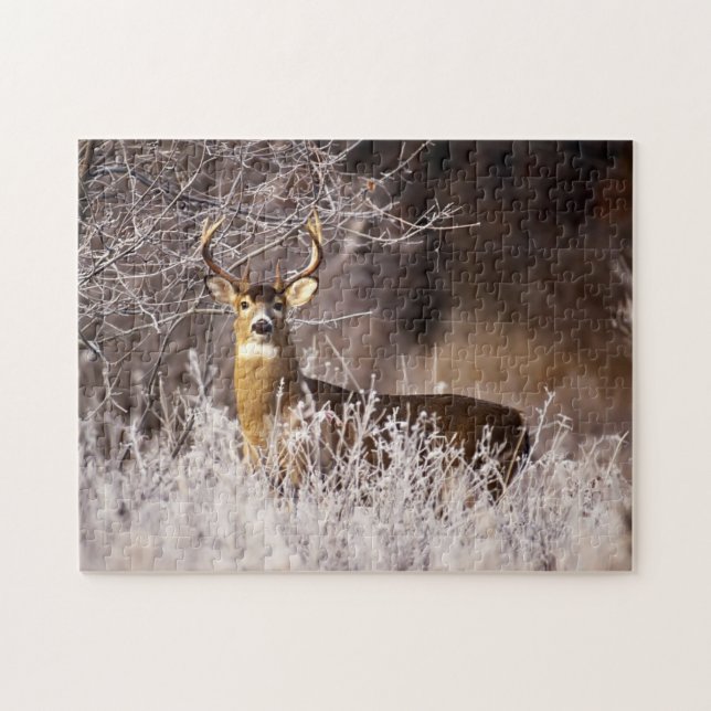 Wildlife Puzzle-Deer Jigsaw Puzzle (Horizontal)