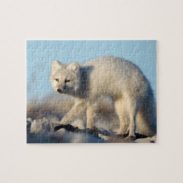 Wildlife Puzzle-Fox Jigsaw Puzzle (Horizontal)