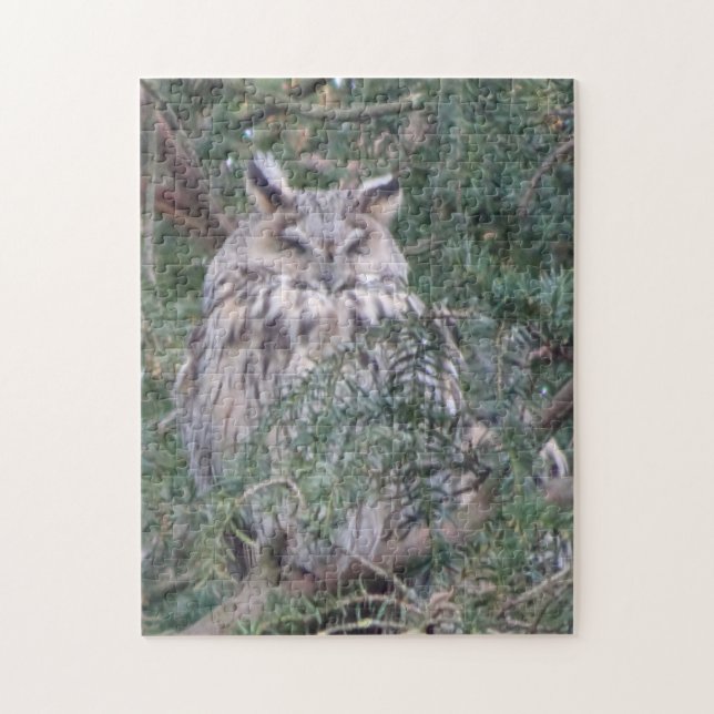 Wildlife Puzzle: Long-eared Owl  Jigsaw Puzzle (Vertical)
