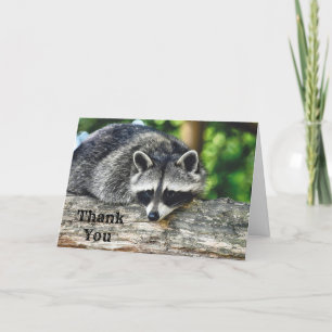 Wildlife Raccoon Log Mammal Photo Thank You Card