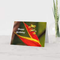 Wildlife Red Eyed Tree Frog Photo Birthday