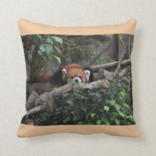 Wildlife - Red Panda in a zoo. Throw Pillow
