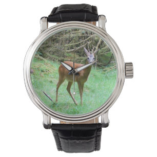 Wildlife Roe Deer Stag – Elegant Forest Animal Watch
