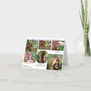 Wildlife Romantic Humour Card