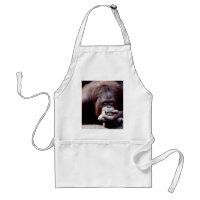 Wildlife Set - Primates 10