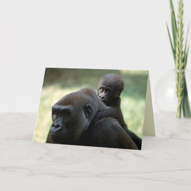 Wildlife Set - Primates 11 Card (Front)