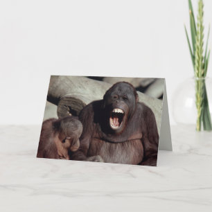Wildlife Set - Primates 1 Card