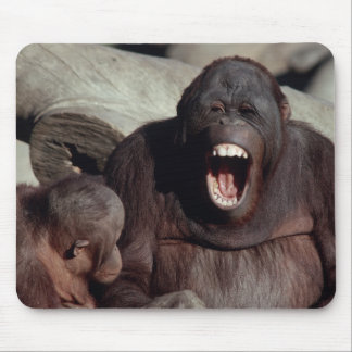 Wildlife Set - Primates 1 Mouse Pad