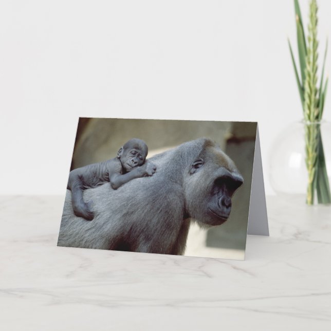 Wildlife Set - Primates 3 Card (Front)