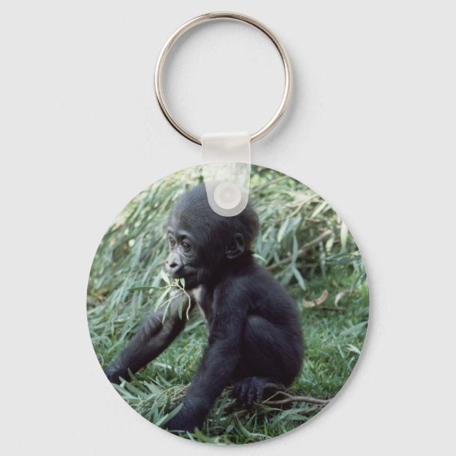 Wildlife Set - Primates 8 Keychain (Front)