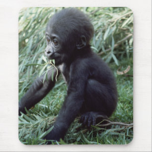Wildlife Set - Primates 8 Mouse Pad