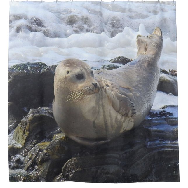 Wildlife shower curtain, harbour seal, marine life (Front)