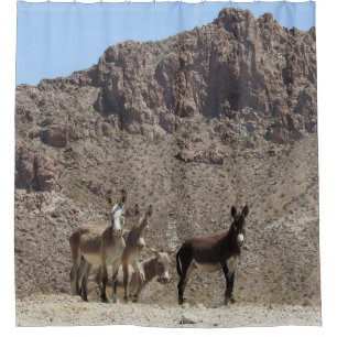 Wildlife shower curtain, wild burros, Arizona