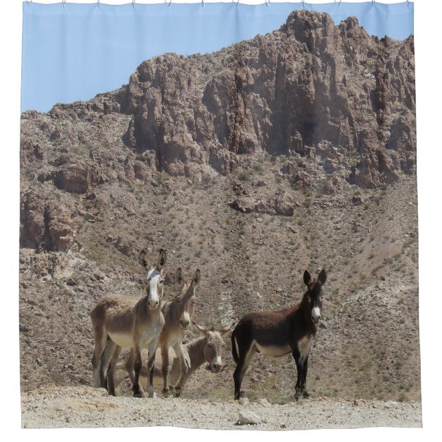 Wildlife shower curtain, wild burros, Arizona (Front)