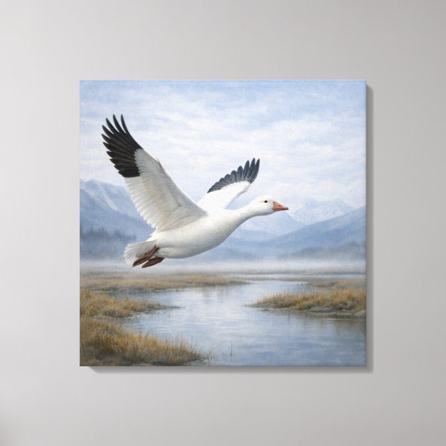 Wildlife Snow Goose Flying Tundra Wetlands Canvas Print (Front)