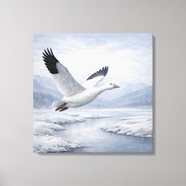 Wildlife Snow Goose Flying Winter Canvas Print (Front)