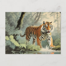 Wildlife Tropical Rain Forest Tiger Vintage 
