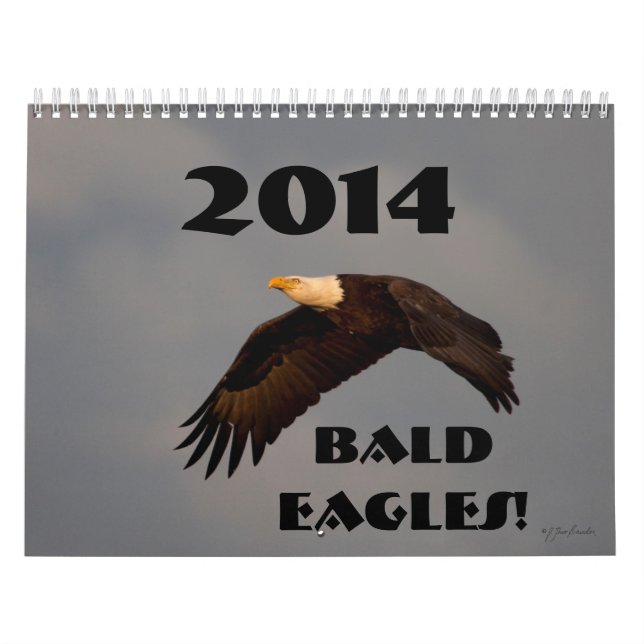 Wildlife wall calendar bald eagles 2014 (Cover)