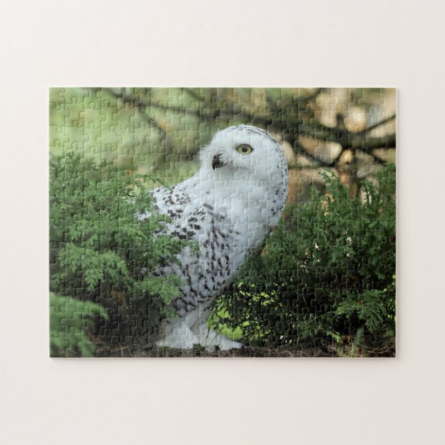 Wildlife White Owl Photo Jigsaw Puzzle (Horizontal)