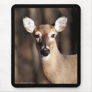 Wildlife Whitetail Deer Doe Portrait Mouse Pad