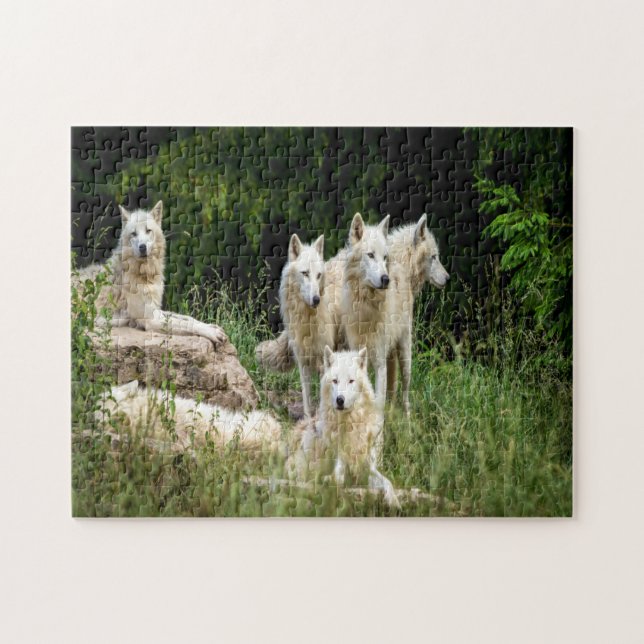 wildlife wolf jigsaw puzzle (Horizontal)