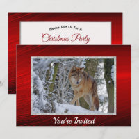 Wildlife Wolf Snow Photo Christmas