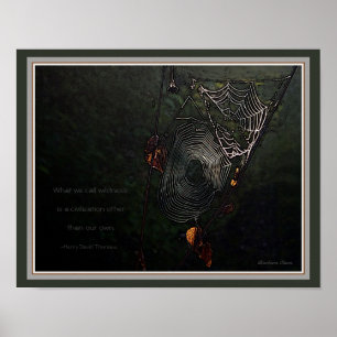 Wildness:  A civilization other than our own Poster