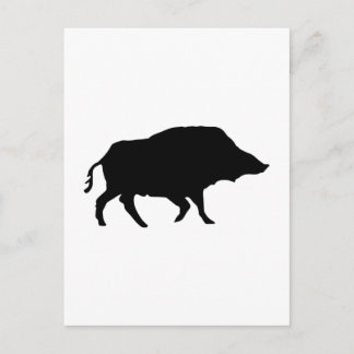 Wildschwein Postcard
