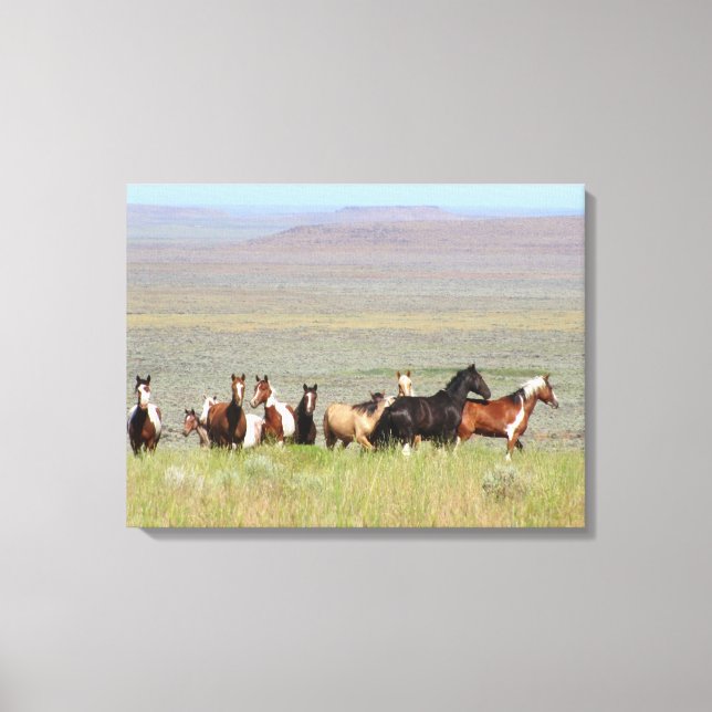 WildWest Mustangs Wrapped Canvas (Front)