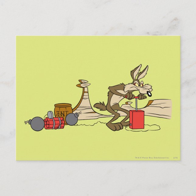 WILE E. COYOTE™ ACME TNT POSTCARD (Front)