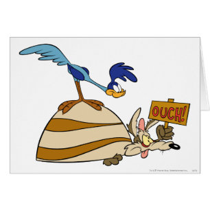 WILE E. COYOTE™ and ROAD RUNNER™ Acme Products 5