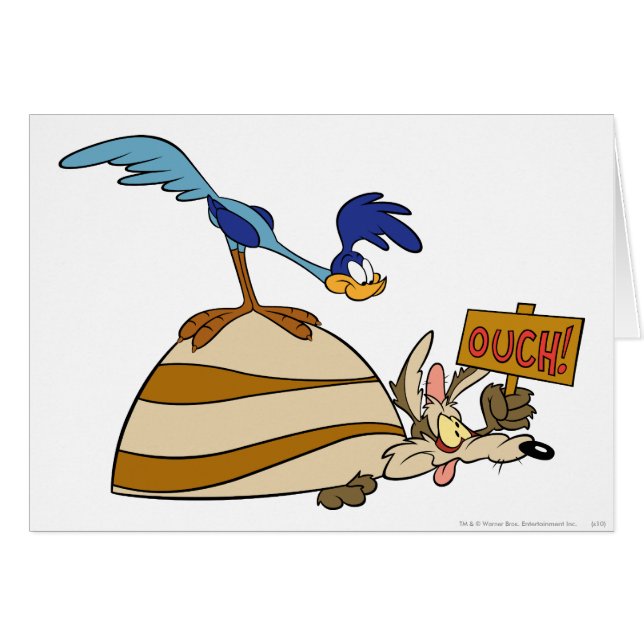 WILE E. COYOTE™ and ROAD RUNNER™ Boulder (Front Horizontal)