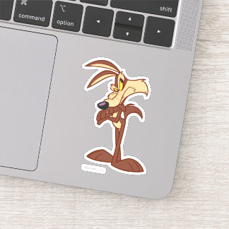 WILE E. COYOTE™ Arms Crossed
