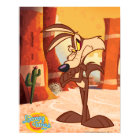 WILE E. COYOTE™ Arms Crossed