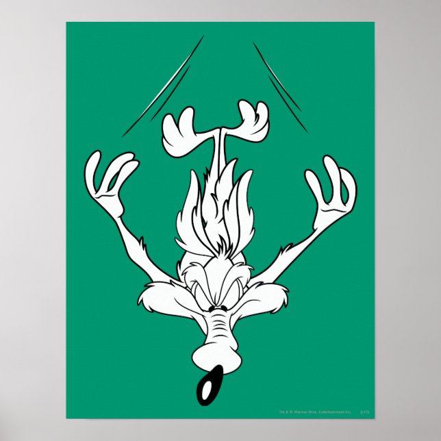 WILE E. COYOTE™ Dive Bomb Poster (Front)