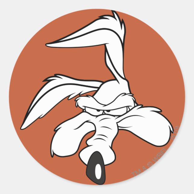 WILE E. COYOTE™ Head Shot Classic Round Sticker (Front)