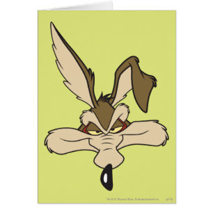 Wile E. Coyote Pleased Head Shot