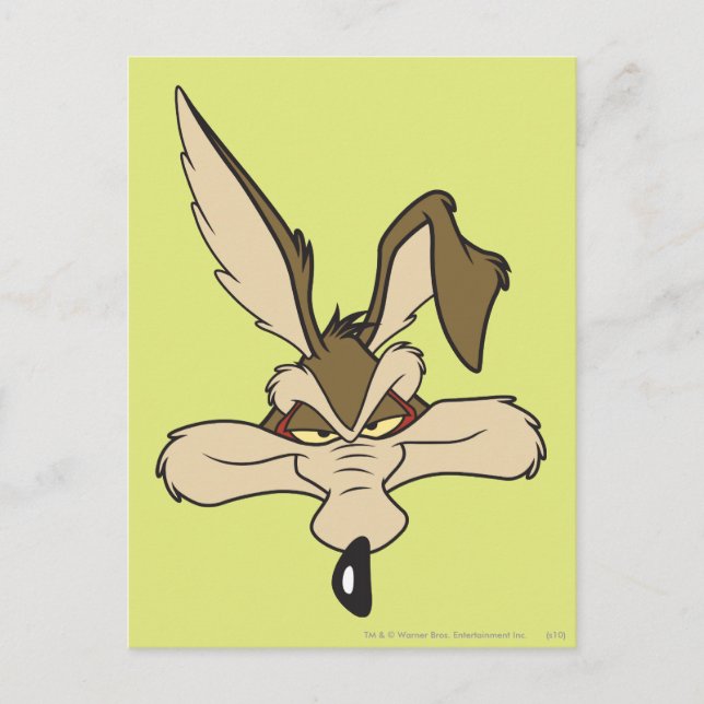WILE E. COYOTE™ Pleased Head Shot Postcard (Front)