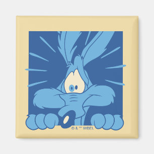 WILE E. COYOTE™ Shocked Expression Magnet
