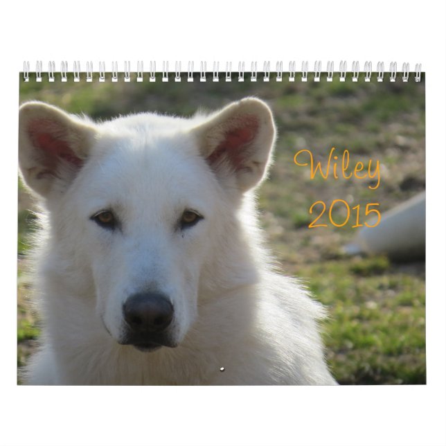 Wiley 2015 Calendar (Cover)