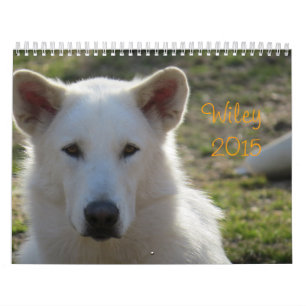 Wiley 2015 Calendar