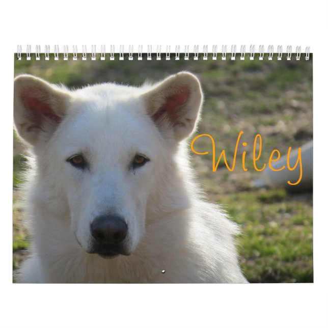 Wiley Calendar (Cover)