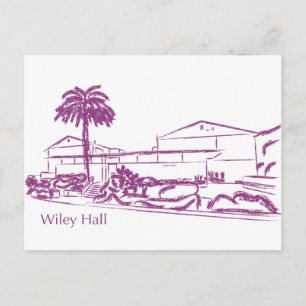 Wiley Postcard