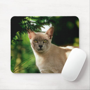Wilham. Mouse Pad