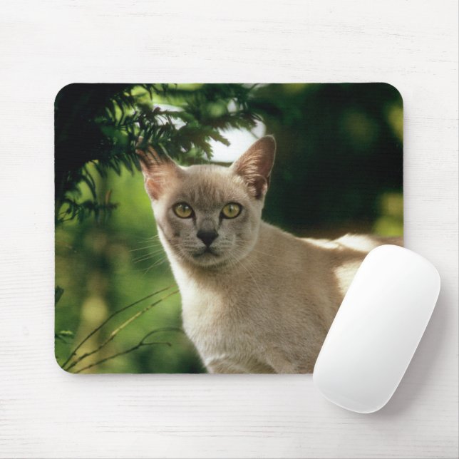 Wilham. Mouse Pad (With Mouse)