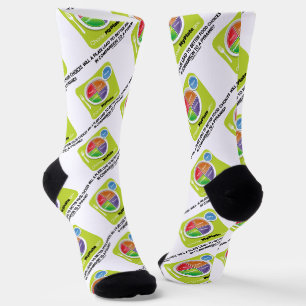 Will A Plate Lead To Better Food Choices Pyramid Socks
