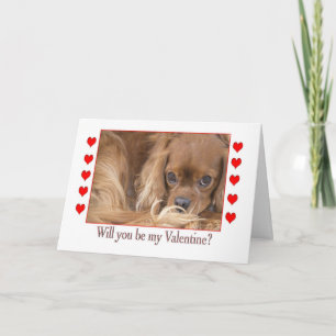 Will you be my Valentine's Day Spaniel Card
