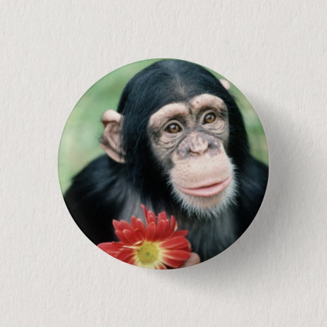 Will You Marry Me? 1 Inch Round Button (Front)